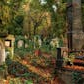 Overgrown Cemetery