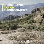 Shrubland Landscape Environment ( Arid Landscape, Plain Landscape )