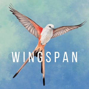 Wingspan