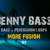 Benny Rietveld Bass V2