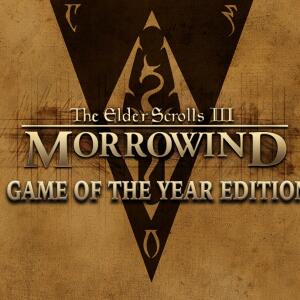 The Elder Scrolls III: Morrowind® Game of the Year Edition