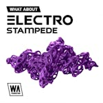 Electro Stampede