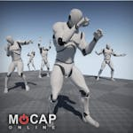 Boxing - MoCap Pack