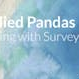 Applied Pandas: Survey Data