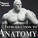 Introduction to Anatomy