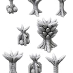 Spore Plants