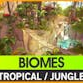 Nature Biome - Tropical Jungle