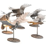 HELLESBURNE - Raven Riders
