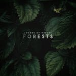 Sounds of Nature: Forests: 24 Sound Design Files (5.01GB)