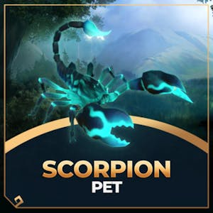 Scorpion Pet