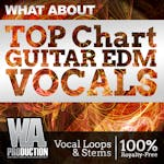 Top Chart Guitar EDM Vocals