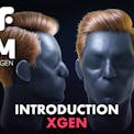 Introduction to XGen