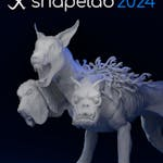 Shapelab 2024 license