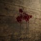 Animated Blood Decals - Realistic