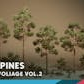 Foliage VOL.2 - Pines (Nanite and Low Poly)