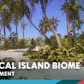 Tropical Island Biome