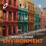 Havana Street Environment