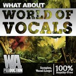 World Of Vocals