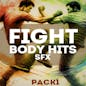 Fight Body Hits SFX Pack 1