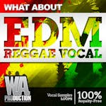 EDM Reggae Vocals