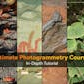 Ultimate Photogrammetry Course