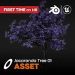 Jacaranda Tree 01