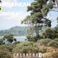 Mediterranean Island Pack (Island Environment - Pine Forest Island - Forest)
