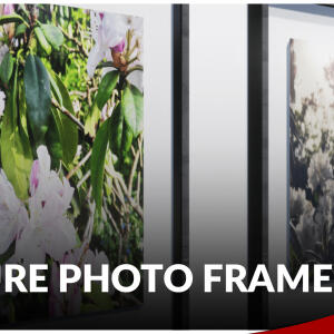 Nature Photo Frames