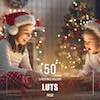 50 Christmas Holiday LUTs Pack