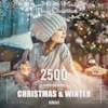 2500+ Christmas & Winter Effects Bundle
