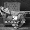 50 Black & White LUTs and Presets