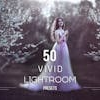 Vivid Lightroom Presets