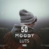 Moody LUTs and Presets Collection