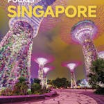 Pocket Singapore