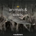 Animals and Birds