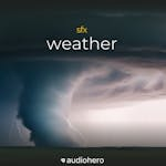 Weather