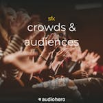 Crowds / Audiences