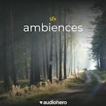 Ambiences
