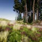 Advanced Foliage Pack 2.0