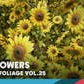 Foliage VOL.25 - Sunflowers (Low Poly)