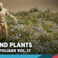 Foliage VOL.17 - Ground Plants (Low Poly)