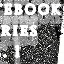 Notebook Entries Vol. 1