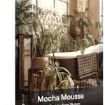 Luminar Presets: Mocha Mousse
