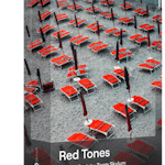 Luminar Presets: Red Tones