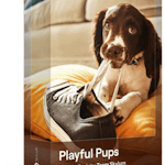 Luminar Presets: Playful Pups