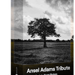 Luminar Presets: Ansel Adams Tribute