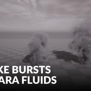 Smoke Bursts Niagara Fluids