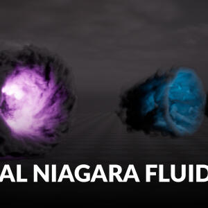 Portal Niagara Fluids