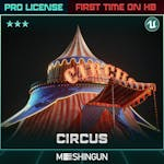 Circus - Theme Park Attraction