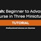 ZBrush: Beginner to Advanced Course on Three Miniatures